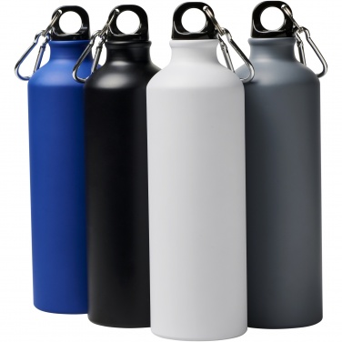 Logotrade promotional giveaway picture of: Oregon 770 ml matte water bottle with carabiner