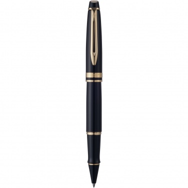 Logotrade promotional giveaway picture of: Waterman Expert rollerball pen