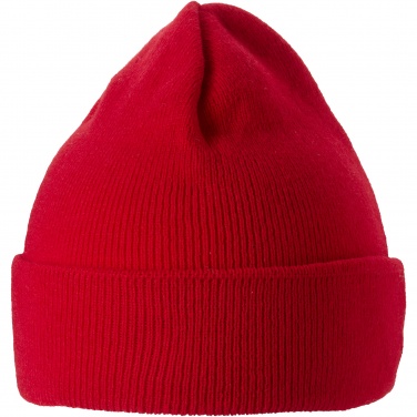 Logotrade promotional giveaway picture of: Irwin beanie