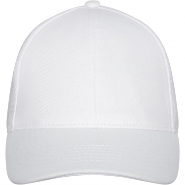 Logo trade promotional merchandise image of: Drake 6 panel trucker cap