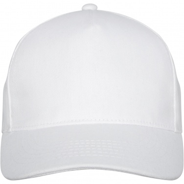 Logotrade promotional merchandise image of: Doyle 5 panel cap