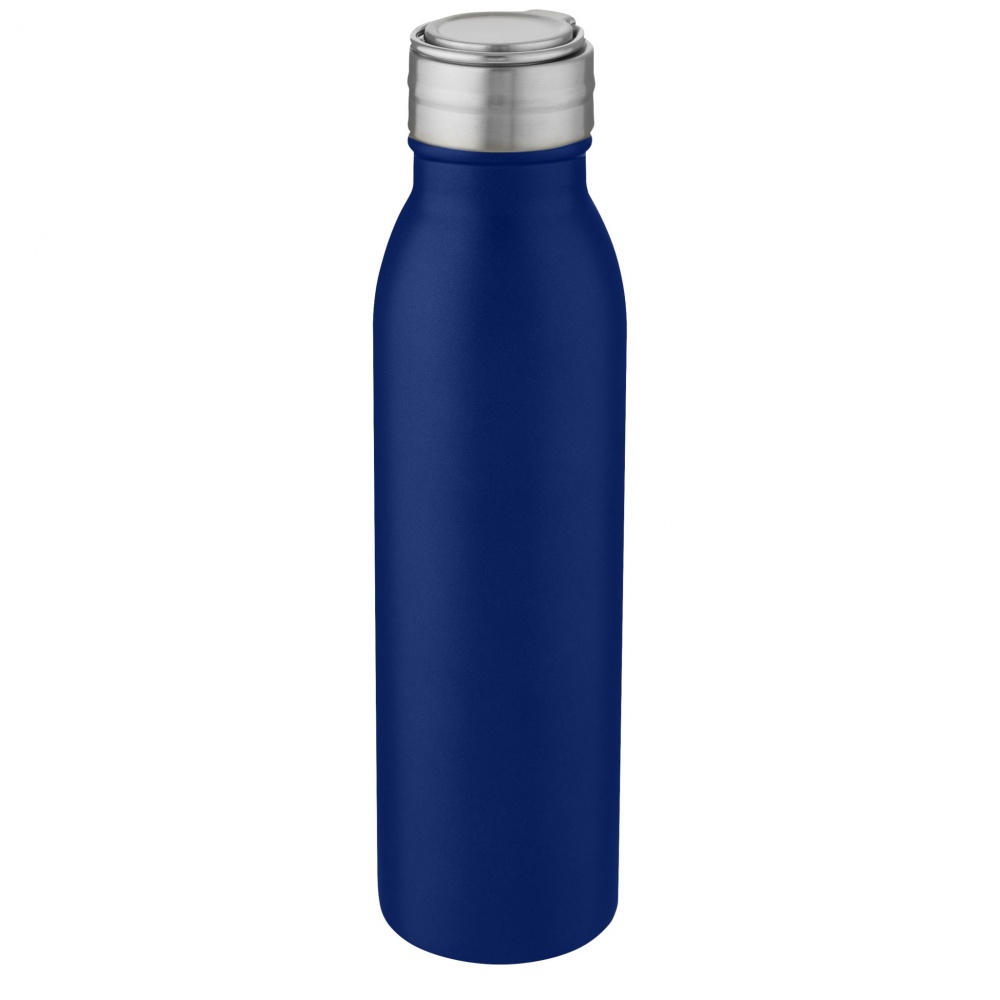 Logo trade corporate gifts image of: Harper 700 ml stainless steel water bottle with metal loop