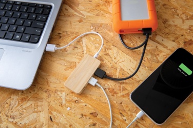 Logo trade promotional products picture of: Bamboo hub with Type-C