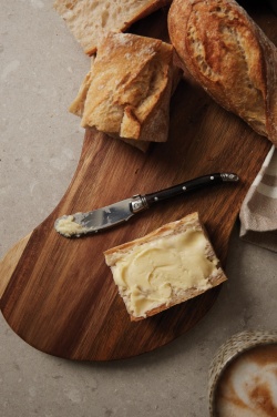 Logo trade promotional gifts picture of: VINGA Gigaro butter knives