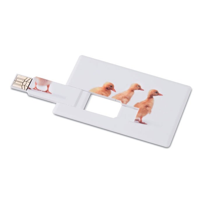 Logotrade promotional giveaway picture of: Creditcard. USB flash 32GB