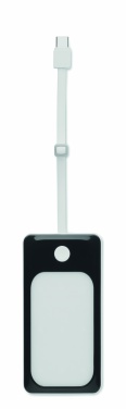 Logo trade promotional giveaways image of: 10000 mAh power bank with COB