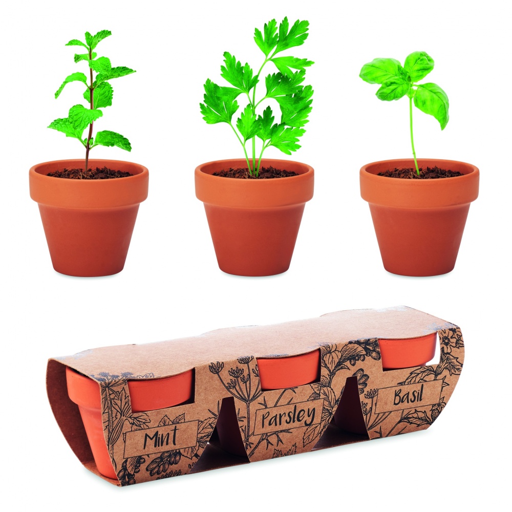 Logo trade promotional products picture of: Terracotta 3 herb pot set