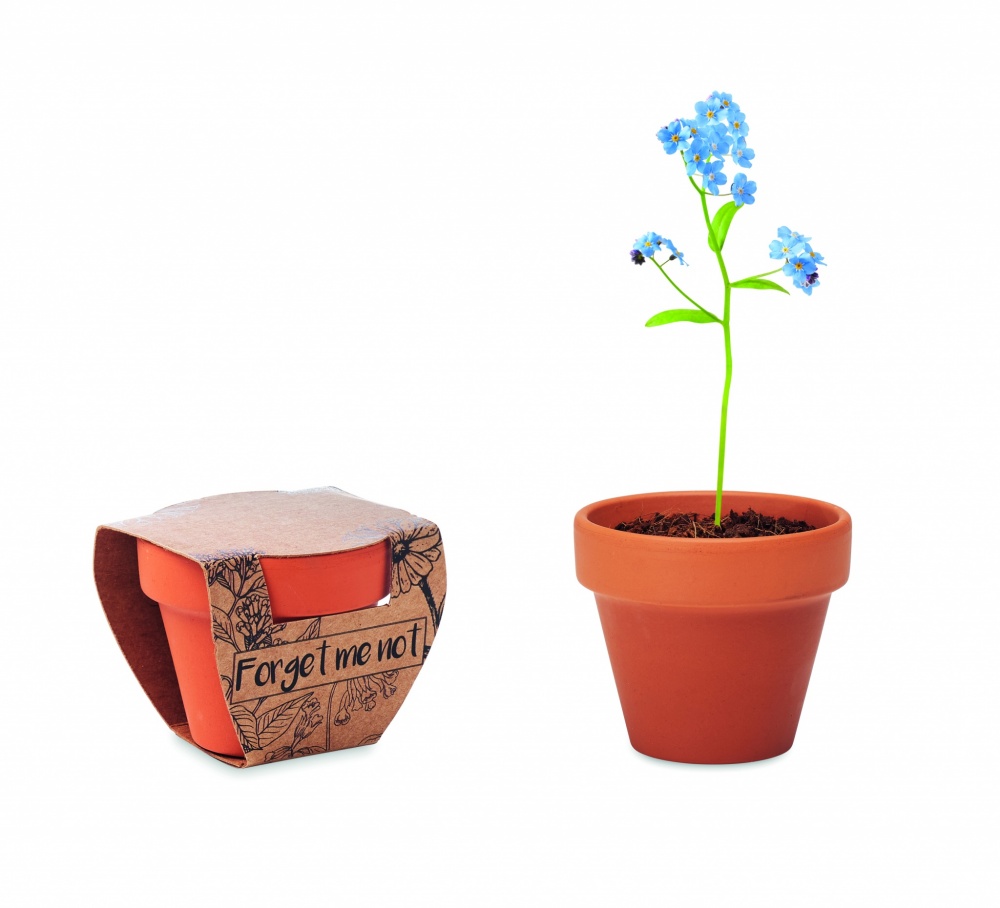 Logotrade promotional product picture of: Terracotta pot 'forget me not'