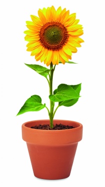 Logo trade promotional giveaways image of: Terracotta pot 'sunflower'