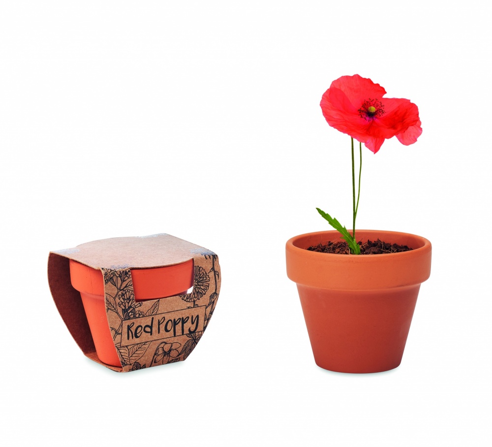 Logotrade promotional product image of: Terracotta pot 'poppy'