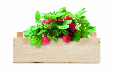 Logotrade promotional giveaway image of: Strawberry kit in wooden crate