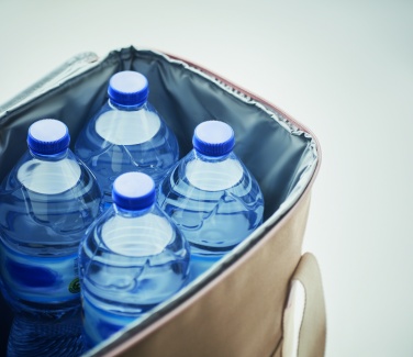 Logotrade promotional merchandise photo of: Large cooler bag canvas 450gr/m