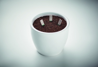 Logo trade promotional merchandise picture of: Herb seeds sticks