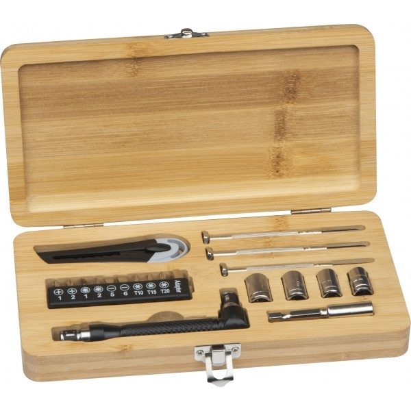 Logotrade promotional giveaway picture of: 22-piece tool set BERINGEN