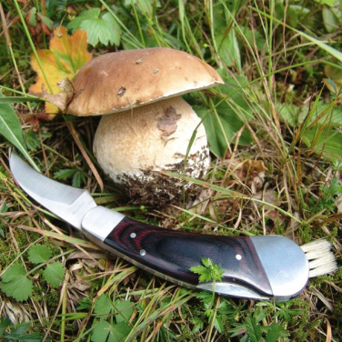 Logo trade promotional gifts picture of: Mushroom knife PILZ Schwarzwolf