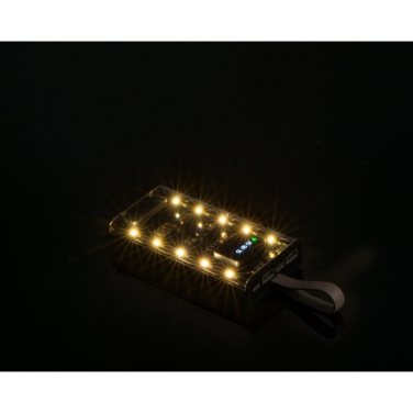 Logotrade advertising product picture of: Power bank 10 000 mAh DARWIN