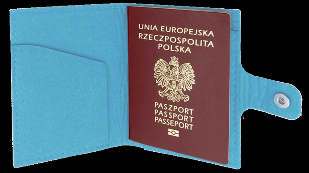 Logo trade promotional items image of: Passport case 84106200