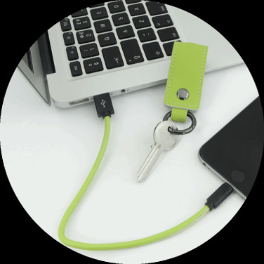 Logotrade promotional merchandise picture of: Keyring 59612900