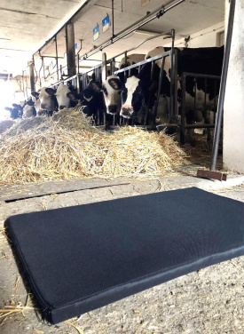 Logotrade promotional giveaway picture of: Disinfection mat 100x60x3cm 1372087