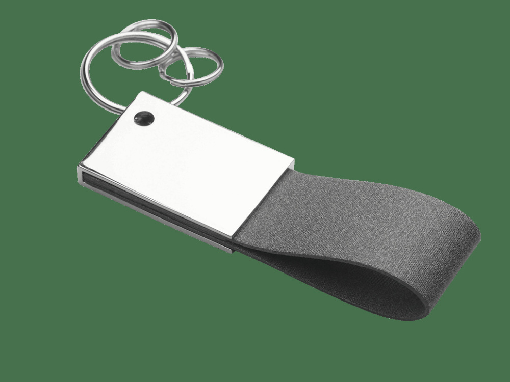 Logo trade promotional products image of: Keyring 909323