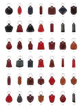Logo trade promotional product photo of: Keyring 178011