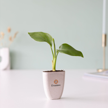 Logo trade promotional products picture of: Treemore Letterbox Trees Bird of Paradise plant