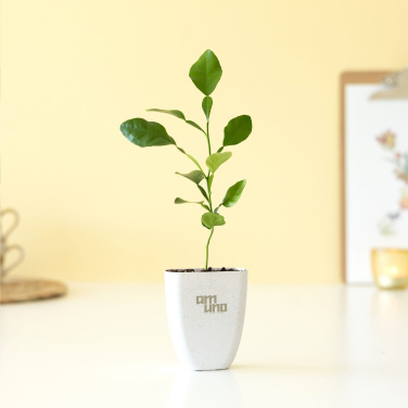 Logotrade promotional item image of: Treemore Letterbox Trees Kaffir Lemon