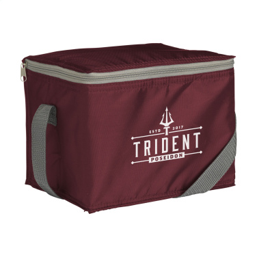 Logotrade promotional giveaway image of: CoolMate RPET cooler bag