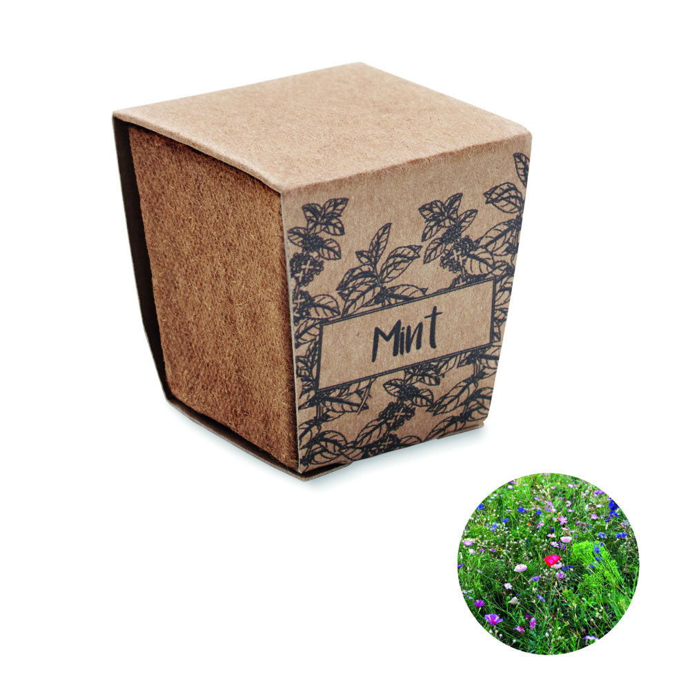 Logotrade promotional merchandise image of: Mint seeds growing kit