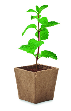 Logotrade advertising products photo of: Mint seeds growing kit