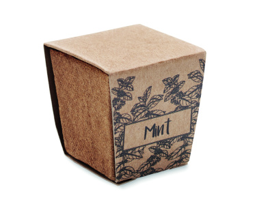 Logotrade promotional merchandise photo of: Mint seeds growing kit