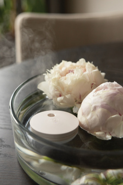 Logotrade promotional item picture of: Breevia RCS rplasic re-chargeable floating humidifier