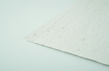 Logo trade reklaamkingituse pilt: A5 metsalilleseemne paberileht