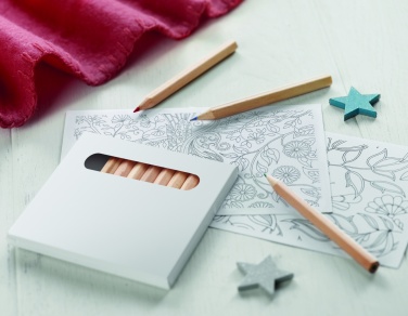 Logo trade reklaamkingid foto: Värvipliiatsite komplekt