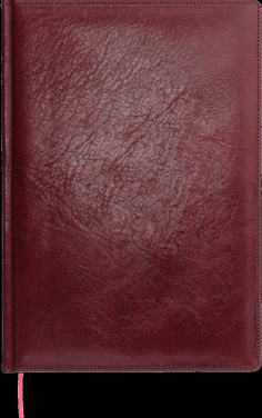 Logotrade meened pilt: Kalendermärkmik 642131