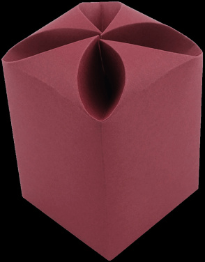 Logotrade firmakingid pilt: Karp (10x7,5x7,5cm) 578037