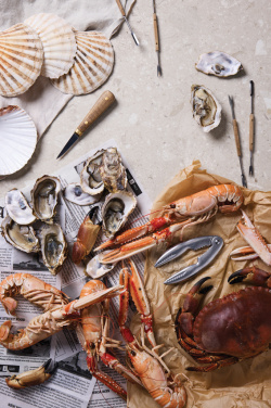 Logotrade ärikingitused pilt: VINGA "Story of Seafood" mereannikomplekt