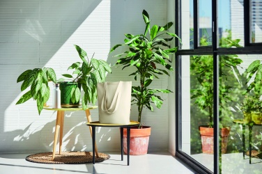 Logo trade liikelahja mainoslahja tuotekuva: Ostoskassi