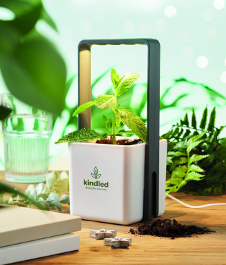Logotrade verslo dovanos nuotrauka: Vidinis sodas su LED apšvietimu