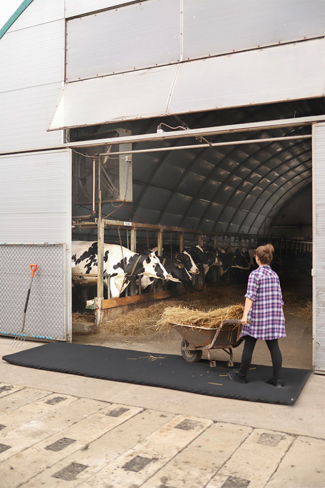 Logotrade presentreklam bild: Transitdesinfektionsmatta 120x500x4cm 1366087