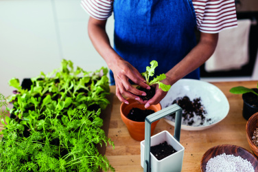 Logotrade presentreklam bild: Inomhusträdgård med LED-ljus